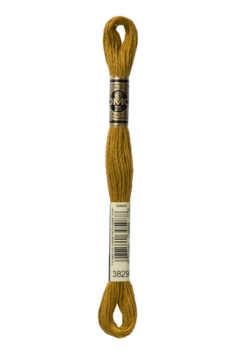 DMC Fio Mouliné Spécial, tons CASTANHOS