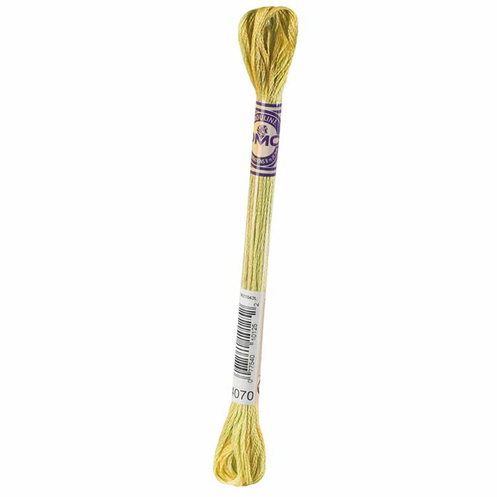 DMC Mouliné Variations