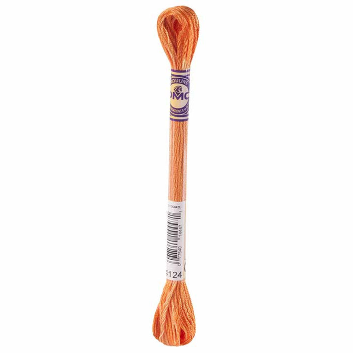 DMC Mouliné Variations