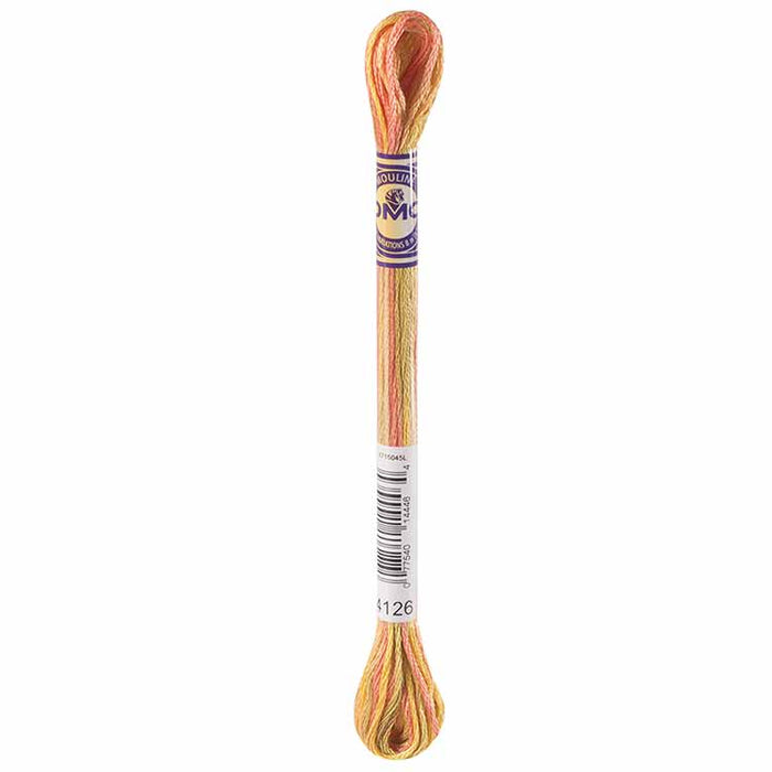 DMC Mouliné Variations