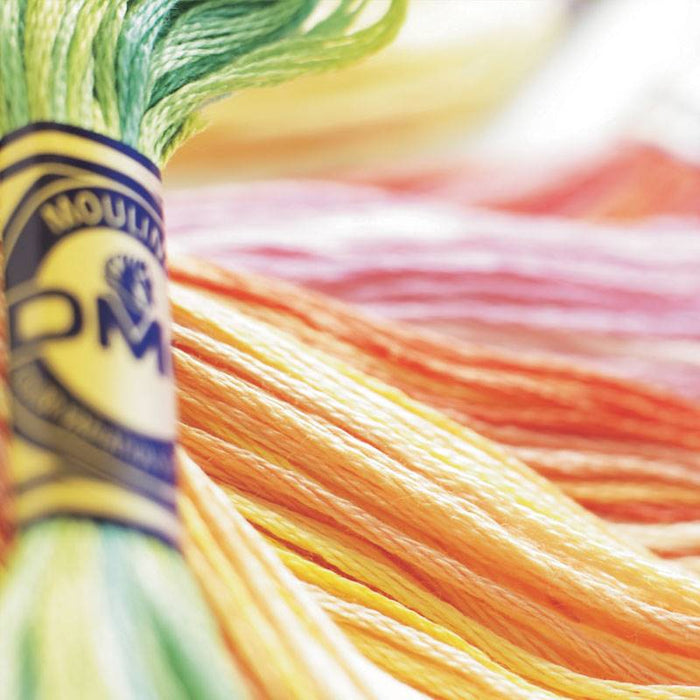 DMC Mouliné Variations