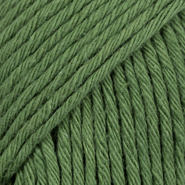 DROPS Paris verde 43