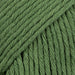 DROPS Paris verde 43