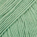 DROPS Safran 04 verde salva